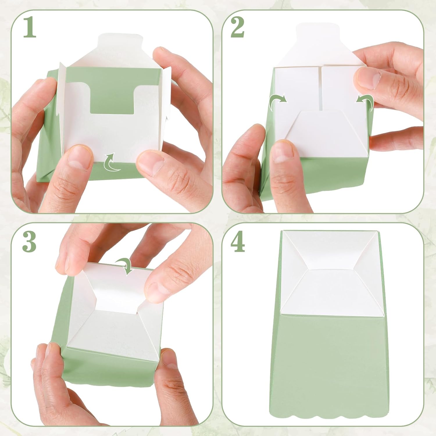 12 ชิ้น Sage สีเขียว Mini กล่อ - Wedding Supply.Box บทวิจารณ์และราคา
